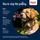 The Company of Animals Halti Head Collar For Dogs - Pet Collars & Harnesses 4