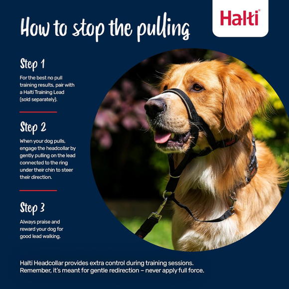 The Company of Animals Halti Head Collar For Dogs - Pet Collars & Harnesses 4