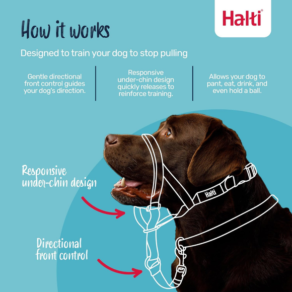 The Company of Animals Halti Head Collar For Dogs - Pet Collars & Harnesses 2