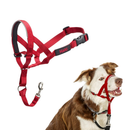 The Company of Animals Halti Head Collar For Dogs - Red / Size 2 - Pet Collars & Harnesses 8