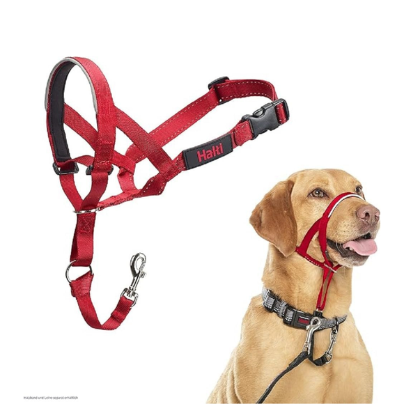 The Company of Animals Halti Head Collar For Dogs - Red / Size 3 - Pet Collars & Harnesses 9