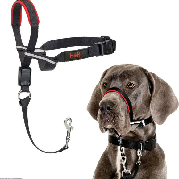 The Company of Animals Halti Optifit For Dogs - Large - Leashes Collars & Training 10