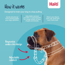 The Company of Animals Halti Optifit For Dogs - Leashes Collars & Training 3