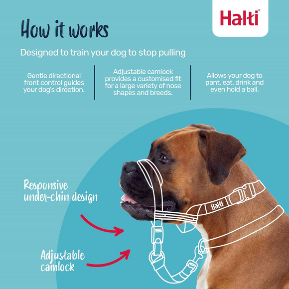 The Company of Animals Halti Optifit For Dogs - Leashes Collars & Training 3