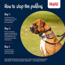 The Company of Animals Halti Optifit For Dogs - Leashes Collars & Training 5