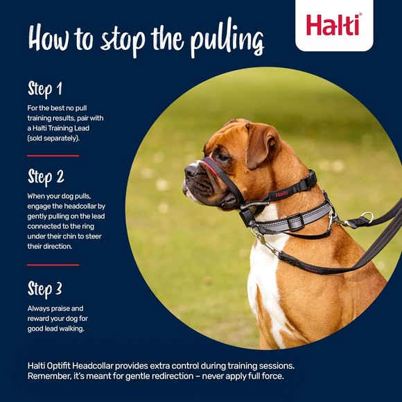 The Company of Animals Halti Optifit For Dogs - Leashes Collars & Training 5