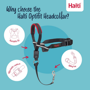The Company of Animals Halti Optifit For Dogs - Leashes Collars & Training 2