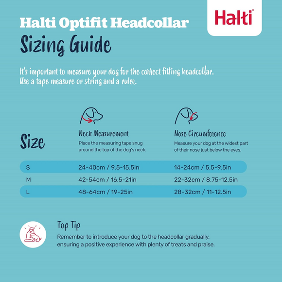 The Company of Animals Halti Optifit For Dogs - Leashes Collars & Training 4