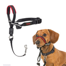 The Company of Animals Halti Optifit For Dogs - Small - Leashes Collars & Training 11