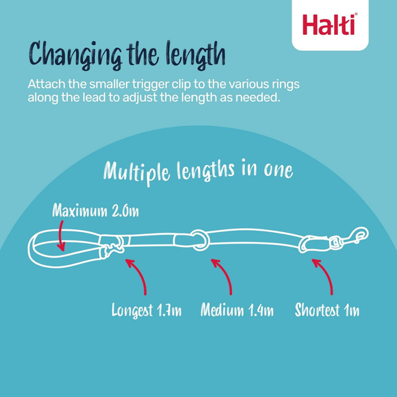 The Company of Animals Halti Training Leash Large - Leashes Collars & Training 2
