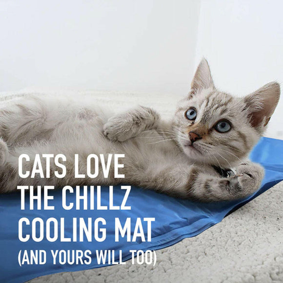 The Green Pet Shop Chilz Gel Mat - Dog Beds & Furniture 6