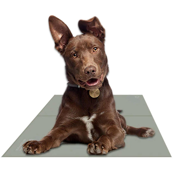 The Green Pet Shop Chilz Gel Mat - Medium / Sage Gray - Dog Beds & Furniture 3