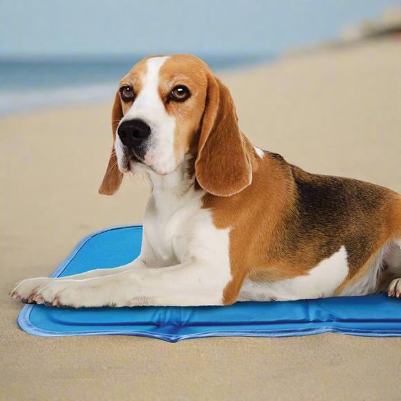 The Green Pet Shop Cool Pet Pad - Dog Beds & Furniture 18