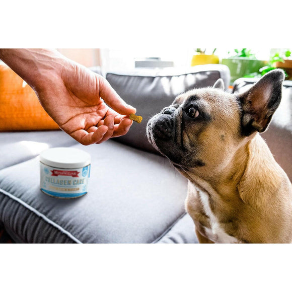 The Missing Link Collagen Care Skin & Coat Soft Chews For Dogs (60 count)