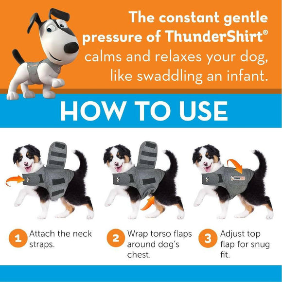 Thundershirt works great for dog anxiety and is available in different sizes. 