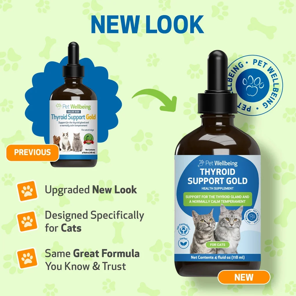 l-carnitine for hyperthyroidism in cats Thyroid Support Gold Cats, 2 oz SIZE:250 VEGETABLE CAPS active pet support Buy IGF-1 LR3 Denmark