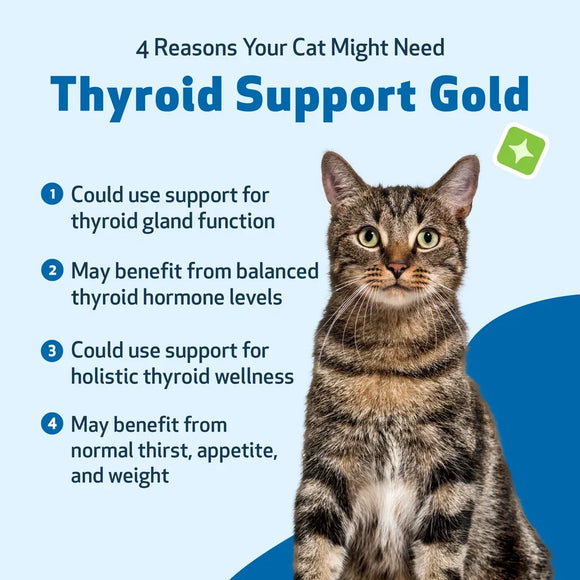 Thyroid Support Gold for Hyperthyroidism in Cats - Cat Supplements & Vitamins 10