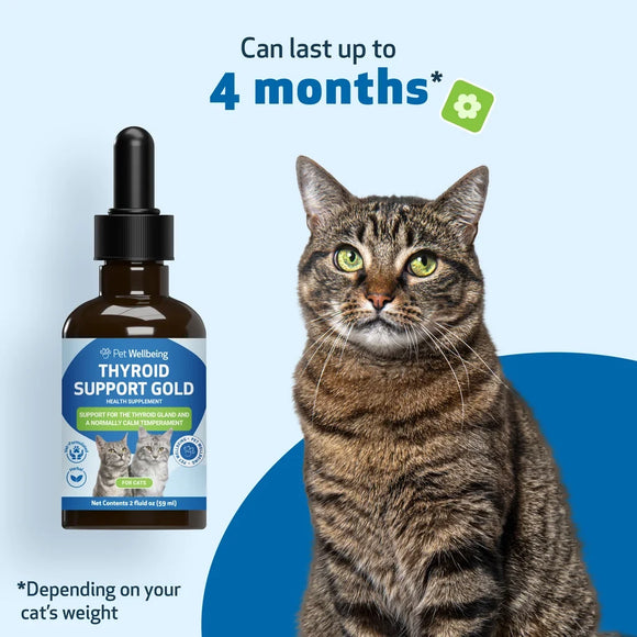 Thyroid Support Gold for Hyperthyroidism in Cats - Cat Supplements & Vitamins 12