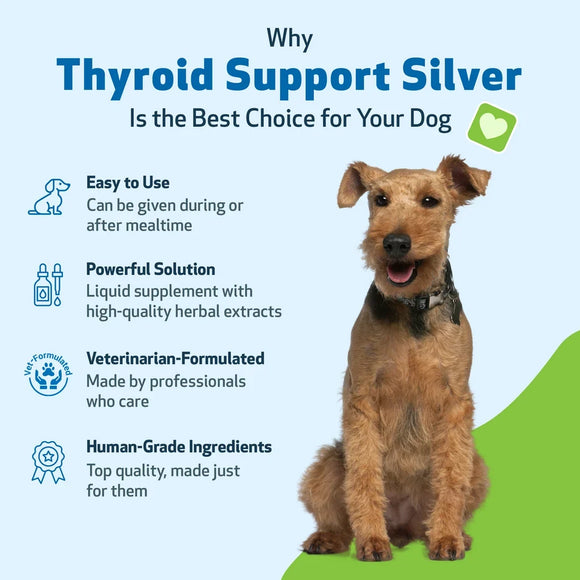 Thyroid Support Silver - for Low Thyroid in Dogs (2 oz) - Dog Supplements & Vitamins 6