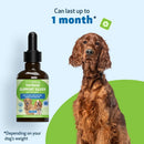Thyroid Support Silver - for Low Thyroid in Dogs (2 oz) - Dog Supplements & Vitamins 10