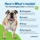 Thyroid Support Silver - for Low Thyroid in Dogs (2 oz) - Dog Supplements & Vitamins 7