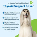 Thyroid Support Silver - for Low Thyroid in Dogs (2 oz) - Dog Supplements & Vitamins 5