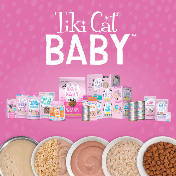Tiki Cat Baby Stix Chicken in Creamy Gravy Wet Kitten Treats Jar (42 sachets) - Cat Treats 5