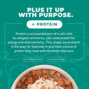 Tiki Cat Born Carnivore Complements Wet Cat Food 2.1-oz case of 12 - Cat Food 23