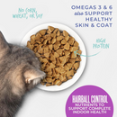 Tiki Cat Born Carnivore Hairball Control Chicken Recipe Dry Cat Food - Dry Cat Food 2