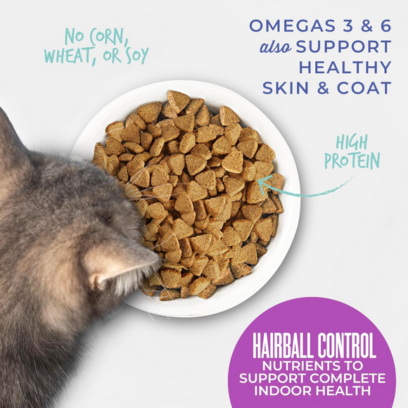 Tiki Cat Born Carnivore Hairball Control Chicken Recipe Dry Cat Food - Dry Cat Food 2