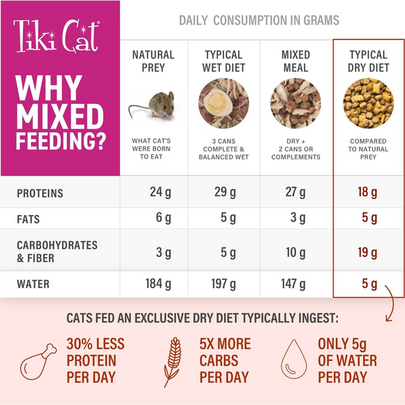 Tiki Cat Born Carnivore Indoor Health Chicken & Turkey Meal Dry Food for Cats - Dry Cat Food 4