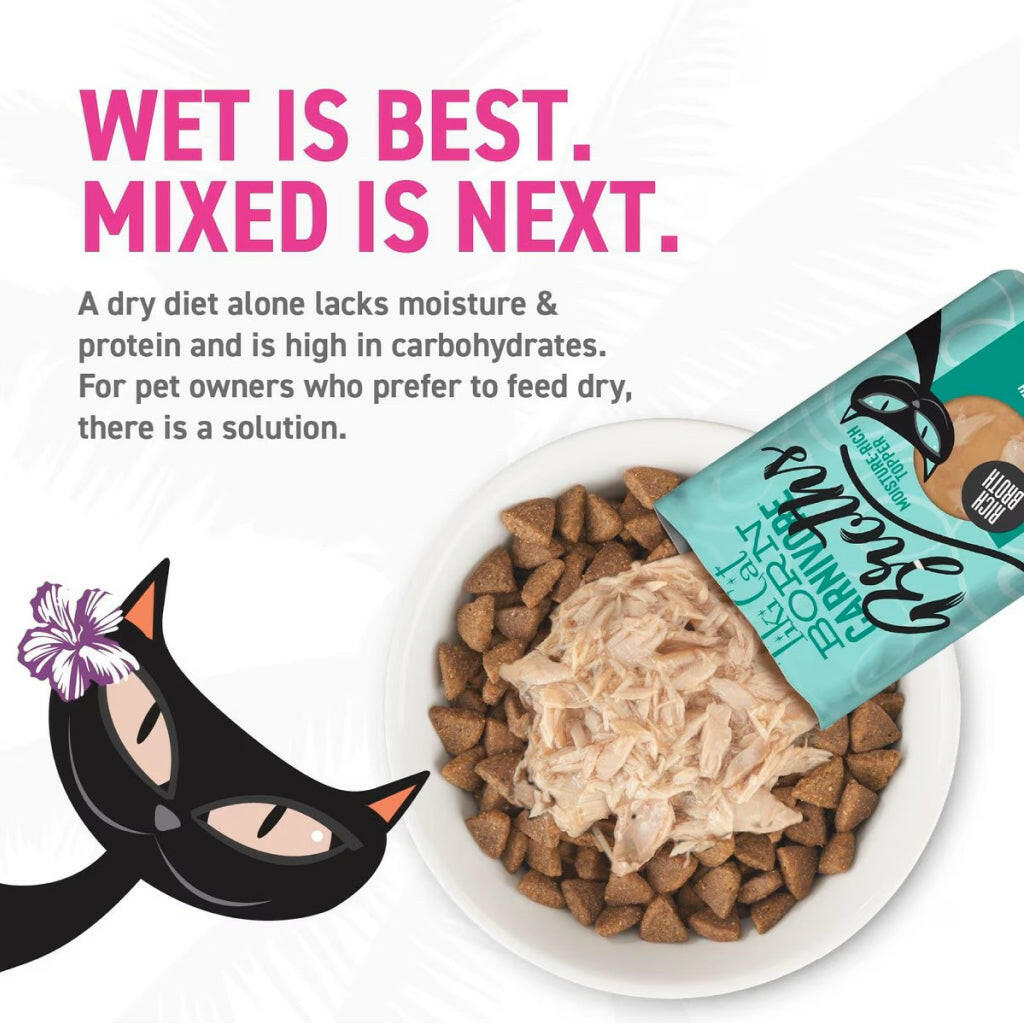 Tiki Cat Born Carnivore Indoor Health Dry Cat Food, Trout & Menhaden Fish Meal, 3 lbs. Bag