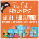 Tiki Cat Friends Stix Chicken & Pumpkin Recipe in Creamy Gravy Lickable Cat Treats (0.4 oz x 4 servings) - Cat Treats 10