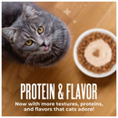 Tiki Cat Friends Stix Chicken & Pumpkin Recipe in Creamy Gravy Lickable Cat Treats (0.4 oz x 4 servings) - Cat Treats 8