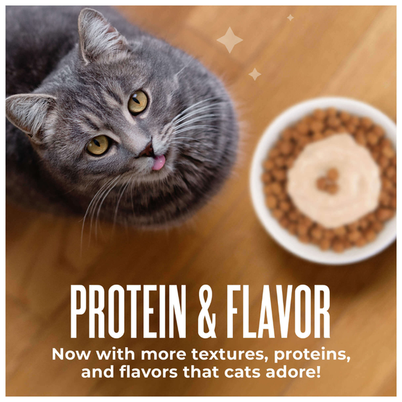 Tiki Cat Friends Stix Chicken & Pumpkin Recipe in Creamy Gravy Lickable Cat Treats (0.4 oz x 4 servings) - Cat Treats 8