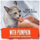 Tiki Cat Friends Stix Chicken & Pumpkin Recipe in Creamy Gravy Lickable Cat Treats (0.4 oz x 4 servings) - Cat Treats 6