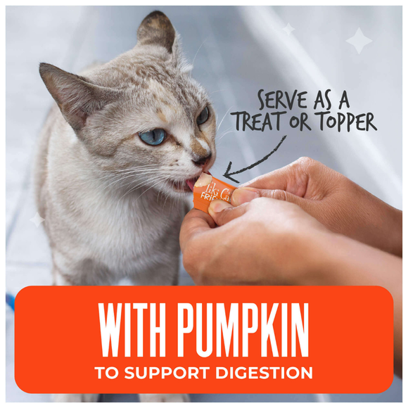 Tiki Cat Friends Stix Chicken & Pumpkin Recipe in Creamy Gravy Lickable Cat Treats (0.4 oz x 4 servings) - Cat Treats 6