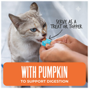 Tiki Cat Friends Stix Tuna & Pumpkin Recipe in Creamy Gravy Lickable Cat Treats (0.4 oz x 4 servings) - Cat Treats 7