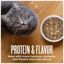 Tiki Cat Friends Tuna Ocean Whitefish & Pumpkin Recipe in Broth Wet Cat Food (2.8-oz x 12 pouches) - Cat Food 6