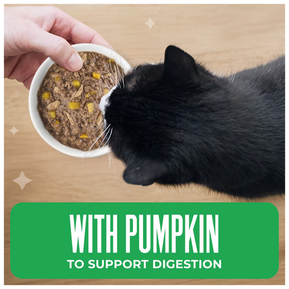 Tiki Cat Friends Tuna Ocean Whitefish & Pumpkin Recipe in Broth Wet Cat Food (2.8-oz x 12 pouches) - Cat Food 4