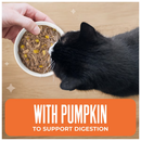Tiki Cat Friends Tuna & Pumpkin Recipe in Broth Wet Cat Food (2.8-oz x 12 pouches) - Cat Food 4
