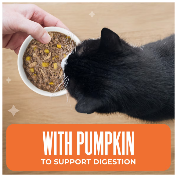 Tiki Cat Friends Tuna & Pumpkin Recipe in Broth Wet Cat Food (2.8-oz x 12 pouches) - Cat Food 4