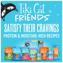 Tiki Cat Friends Tuna & Pumpkin Recipe in Broth Wet Cat Food (2.8-oz x 12 pouches) - Cat Food 9