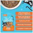 Tiki Cat Friends Tuna & Pumpkin Recipe in Broth Wet Cat Food (2.8-oz x 12 pouches) - Cat Food 5