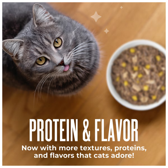 Tiki Cat Friends Tuna & Pumpkin Recipe in Broth Wet Cat Food (2.8-oz x 12 pouches) - Cat Food 8