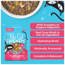 Tiki Cat Friends Tuna Shrimp & Pumpkin Recipe in Broth Wet Cat Food (2.8-oz x 12 pouches) - Cat Food 5