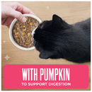 Tiki Cat Friends Tuna Shrimp & Pumpkin Recipe in Broth Wet Cat Food (2.8-oz x 12 pouches) - Cat Food 4