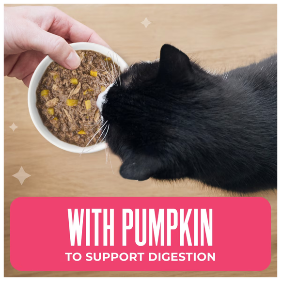 Tiki Cat Friends Tuna Shrimp & Pumpkin Recipe in Broth Wet Cat Food (2.8-oz x 12 pouches) - Cat Food 4