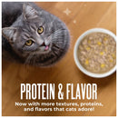 Tiki Cat Friends Wet Cat Food 2.5-oz pouch case of 12 - Cat Food 7