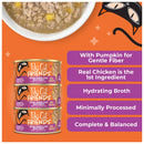 Tiki Cat Friends Wet Cat Food 2.5-oz pouch case of 12 - Cat Food 6